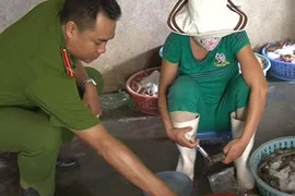 Đột kích bắt hai cơ sở bơm hóa chất vào tôm sú