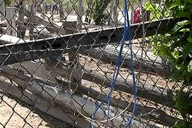 Dây điện dính hàng rào làm bé gái 13 tuổi tử vong