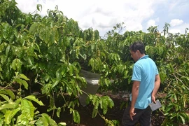Bé 7 tuổi bị hung thủ hiếp dâm rồi sát hại
