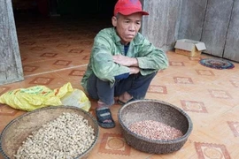 Chủ tịch huyện Minh Hóa bị mất chức