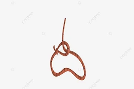 Hiệu trưởng 1 trường tiểu học ở Lâm Đồng tử vong trong tư thế treo cổ