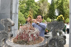 Phó Thủ tướng Trần Lưu Quang dâng hương tại Khu di tích lịch sử Quốc gia Pò Hèn