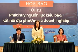 Chủ nhiệm Ủy ban Nhà nước về người Việt Nam ở nước ngoài Lê Thị Thu Hằng trả lời câu hỏi của báo chí.