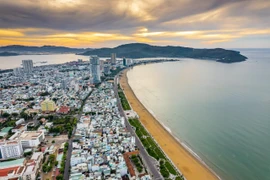 Bình Định lập kế hoạch phát triển hệ thống cây xanh đô thị
