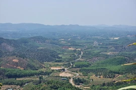 Công an Lâm Đồng truy tìm ô tô gây tai nạn chết người rồi bỏ trốn