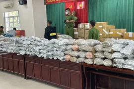 C04 phá đường dây sang Thái Lan trồng Cần Sa rồi đưa về Việt Nam tiêu thụ