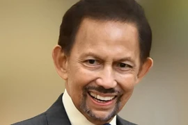 Quốc vương Brunei đến Hà Nội, bắt đầu chuyến thăm cấp Nhà nước tới Việt Nam