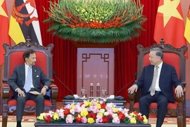 Tổng Bí thư Tô Lâm tiếp Quốc vương Brunei