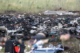 Nạn nhân vụ MH17 từ trên trời xuyên qua mái nhà rơi thẳng xuống bếp của dân địa phương