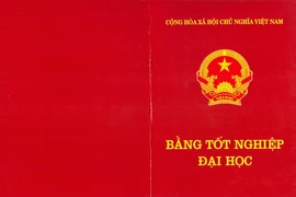 Ngừng bổ nhiệm Phó Chánh thanh tra chưa có bằng đại học