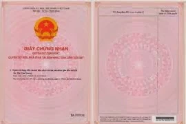 Chậm làm giấy hồng cho người mua nhà sẽ bị phạt đến 1 tỉ đồng