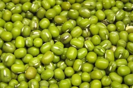 Canh sườn đỗ xanh giã rượu