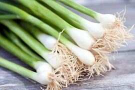 Những điều cần tránh khi ăn hành