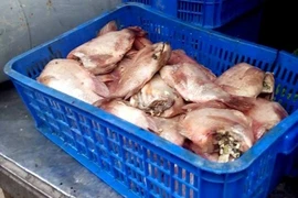 Kết quả xác minh sơ bộ vụ cung cấp thịt cá thối cho bếp ăn học sinh