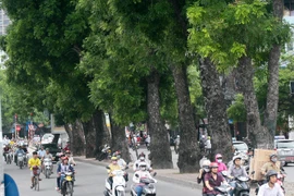 Đường phố Hà Nội trước và sau chặt hạ cây xanh