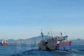 Huy động cả tàu cá tham gia tìm kiếm hai máy bay SU-22 bị rơi