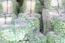 Thực hư chuyện 'táo Ninh Thuận giá chỉ 1.000 đồng/kg'