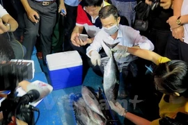 Lập hội đồng khoa học quốc gia để tìm nguyên nhân cá chết