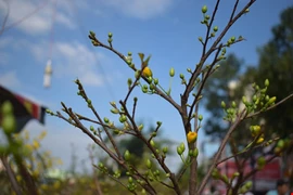 Phiên tòa cuối năm, người cha và hai đứa trẻ...