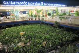 Bến Bạch Đằng đầy lục bình và rác