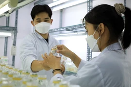 Sinh viên Trường ĐH Công thương TP.HCM trong một giờ học.