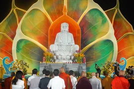 Đại lễ Vesak 2025 thành công trên nhiều phương diện 