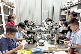 Cuộc phiêu lưu của đá: Học sinh hào hứng khám phá các loại đá quý