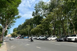 Đỗ xe ô tô trên miệng cống bị phạt bao nhiêu?