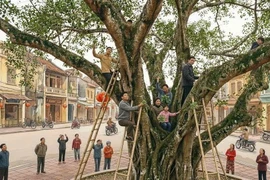Xin lộc, bẻ cây, hái hoa nơi công cộng có bị phạt không?