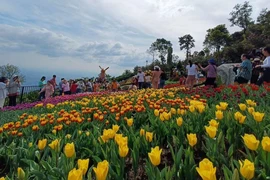 Rực rỡ sắc màu du lịch Tây Ninh 