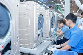 Chăm sóc đến tận 'chân hàng rào' để mời gọi nhà đầu tư ngoại