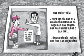 Kiện người cản trở canh tác lúa trên đất trúng đấu giá