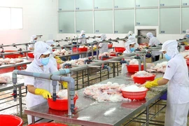 Những dự tính ban đầu cho bình thường mới ở TP.HCM