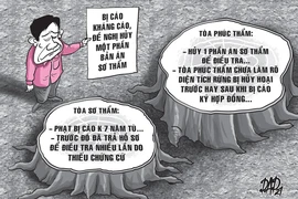 Nhiều điểm chưa rõ vụ giám đốc bị kết tội