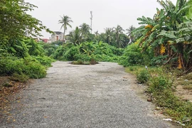 Hải Phòng: 7.400 m2 đất bị bỏ hoang vì vướng tranh chấp