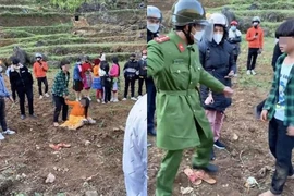'Bắt vợ': Lằn ranh phong tục và vi phạm pháp luật