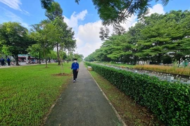 TP.HCM: Nhiều quận đề xuất tăng vốn làm công viên, mảng xanh