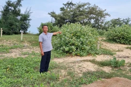 Kiện chủ tịch xã vì không hòa giải tranh chấp đất đai