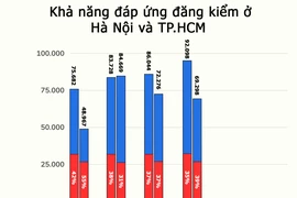 Các phương án trước mắt và lâu dài cho ngành đăng kiểm