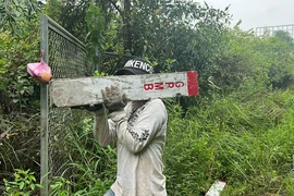 TP.HCM chia sẻ kinh nghiệm làm đường vành đai 3