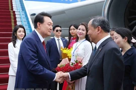 Quan hệ Việt - Hàn: Bắt đầu tăng tốc chiến lược