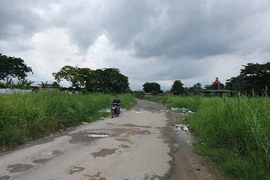 Số phận 87 dự án hết hiệu lực ở Bình Chánh, TP.HCM