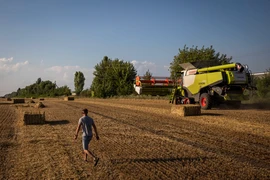 EU chia rẽ về chuyện ngũ cốc Ukraine
