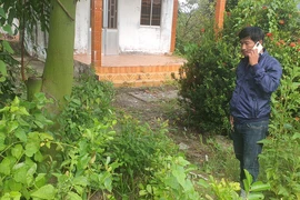 Chủ đất cũ tự ý đào lấy 3 cây mai vì 'bán đất, không bán mai'