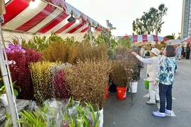 Kiều bào nô nức đón Tết truyền thống bên kia đại dương 