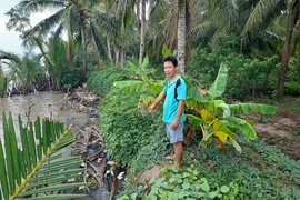 Người dân lo lắng việc khai thác cát sẽ tiếp tục gây sạt lở.