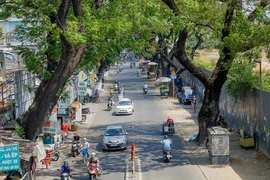 Dự án mở rộng đường Hoàng Hoa Thám từ cổng doanh trại quân đội (giáp sân bay) đến đường Cộng Hòa chưa thể triển khai trong năm nay.