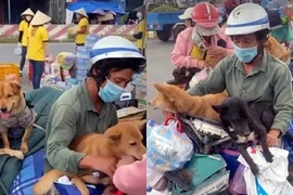 Lý, tình trong vụ tiêu hủy 13 chú chó ở Cà Mau