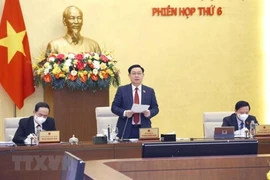 Xin ý kiến Bộ Chính trị về kỳ họp bất thường của Quốc hội