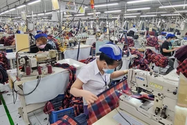 Người lao động đang làm việc tại một công ty may ở TP.HCM.